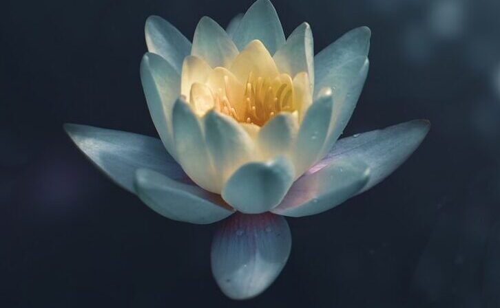 Inrevägensljus vägen mot inre frid